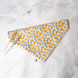 Squeeze the Day Bandana
